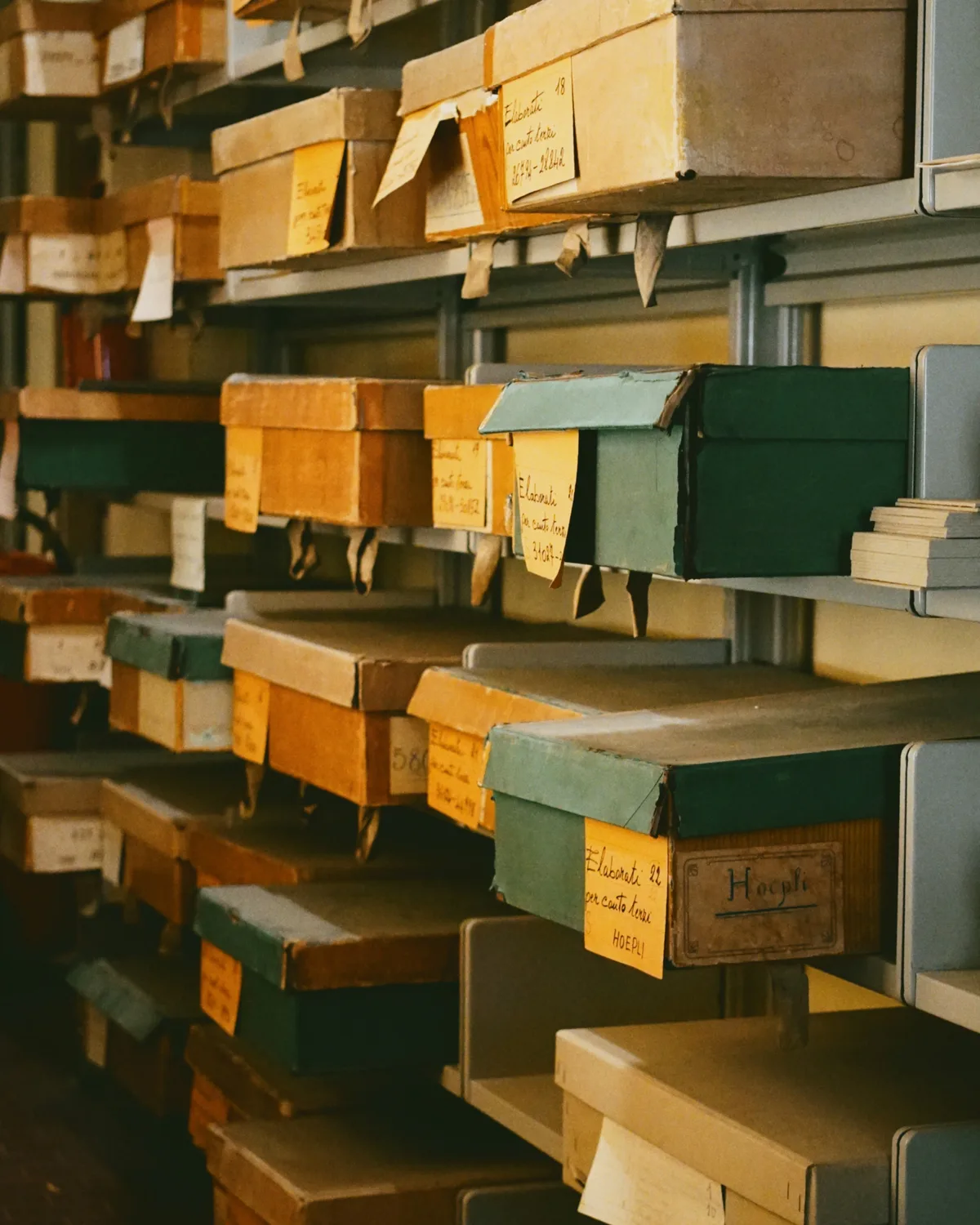 Rows of labeled acid-free archive boxes on metal shelving